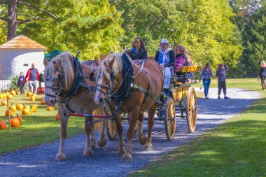 Vagon çekerek atlar