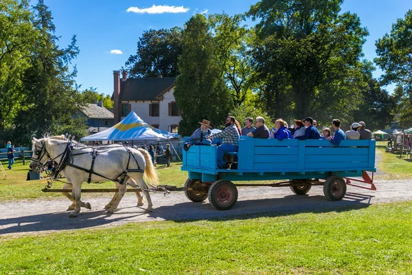 Carro de granja con dos caballos —  Fotos de Stock