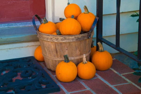 Pumpkins in Basket — Stock Photo, Image