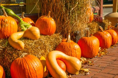 Saman balya ile kabak görüntüsünün yakın çekim