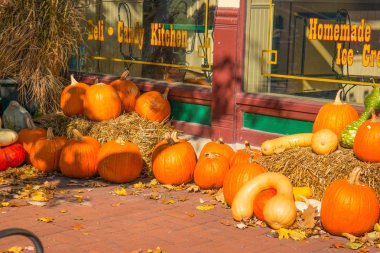 Sonbahar renkli kabak göstermek ile saman balya