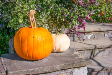 Basit kabak dekorasyon