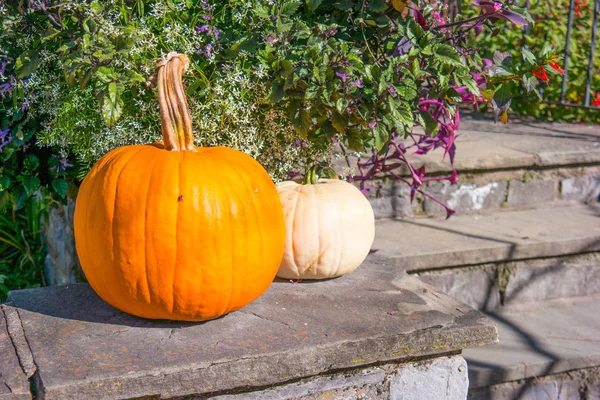 Basit kabak dekorasyon