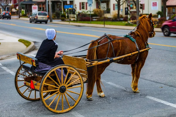 Amish iki tekerlek Buggy8 kadınla