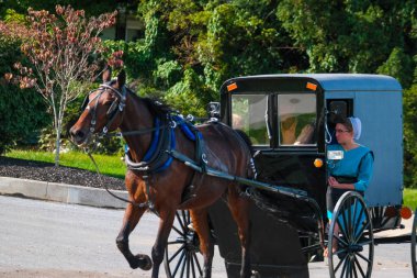 Lancaster County Amish adamcağız çekerek at