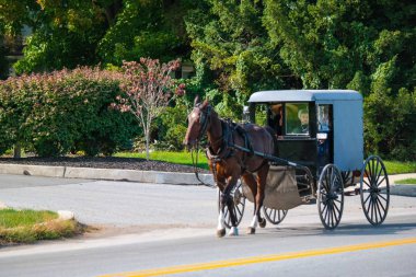 Lancaster Amish adamcağız çekerek at