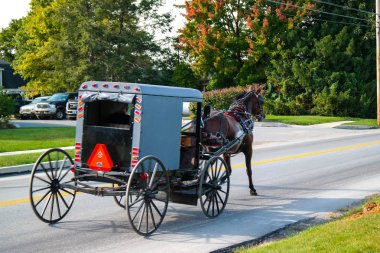 At çeker Buggy Lancaster County