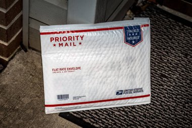 USPS Priority Mail yastıklı zarf