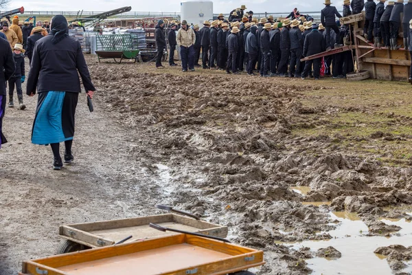 Muddy Fields at Mud Sale — Stock Photo, Image