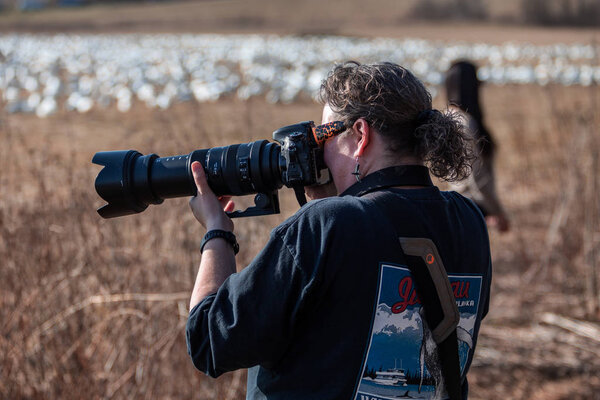 Female Photographer Focuses on migrating snow geese 