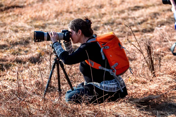 Female Photographer Focuses on the migrating snow geese — Stock Photo, Image