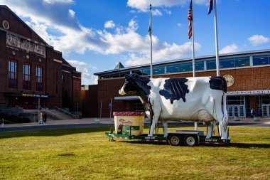 Türkiye Tepesi İneği Pa Çiftlik Fuarında
