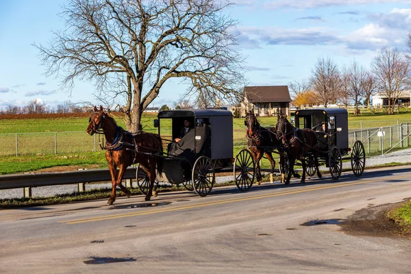 Dos buggies amish — Foto de Stock