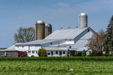 Ronks, PA / USA - 19 Nisan 2020: Lancaster County, Pensilvanya 'da bir Amish çiftliğinde çalışan beyaz bir ahır.
