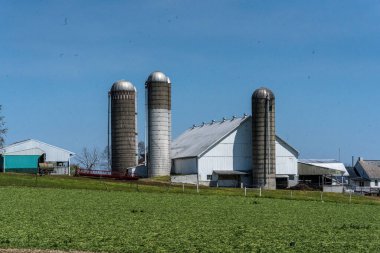 Ronks, PA / USA - 19 Nisan 2020: Lancaster County, Pensilvanya 'da bir Amish çiftliğinde çalışan beyaz bir ahır.