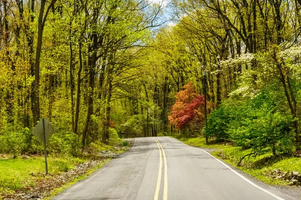 New Holland Usa May 2020 Country Road Springtime Rural Lancaster — Stock Photo, Image