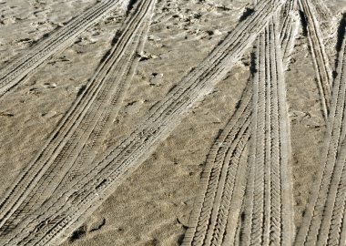 Sahil kum üzerinde lastik izleri.