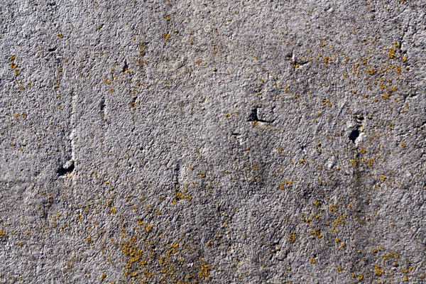 Old cement wall with moss. — Stock Photo, Image