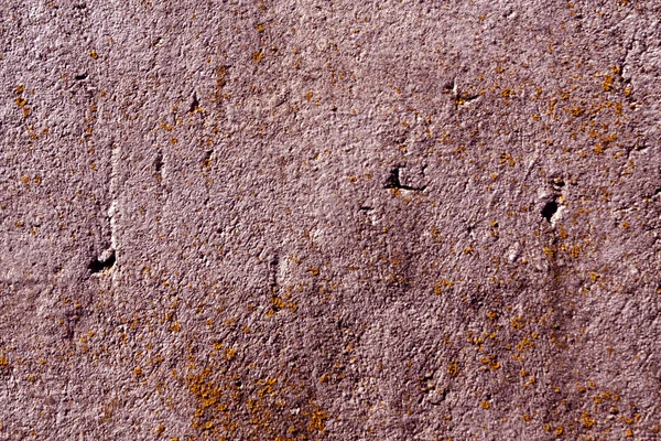 Vecchio muro di cemento rosso con muschio . — Foto Stock