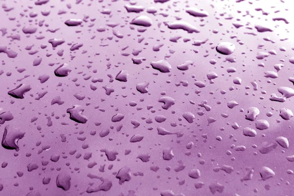 Rain drops on purple metal surface with blur effect