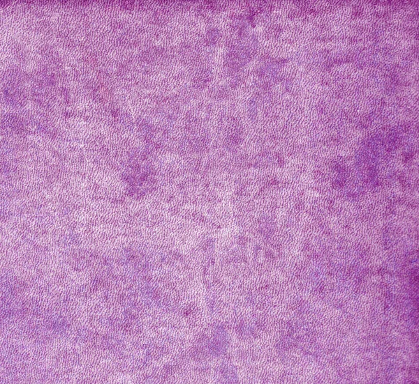 Темно-фиолетовый цвет кожи . — стоковое фото
