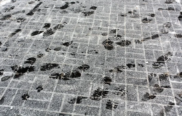 Відбитки ніг на сніжному тротуарі . — стокове фото