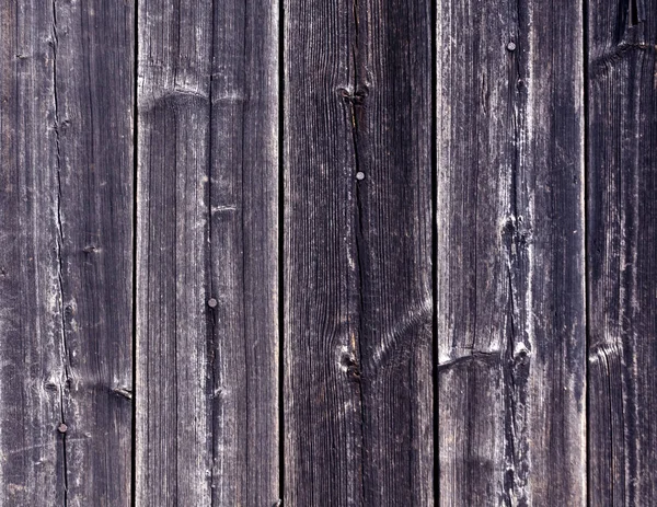 Texture de clôture en bois bleu altérée avec des clous . — Photo