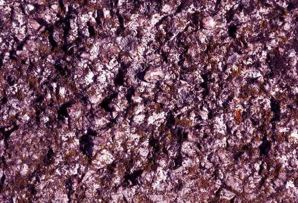 Стара тонована текстура пурпурового каменю з мохом . — стокове фото