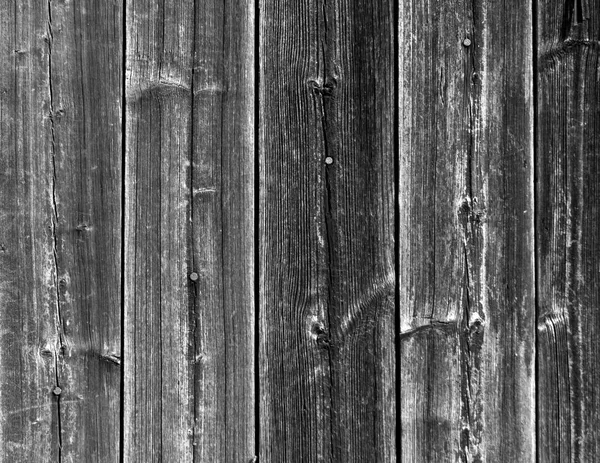 Textura de cerca de madeira cinza com pregos . — Fotografia de Stock