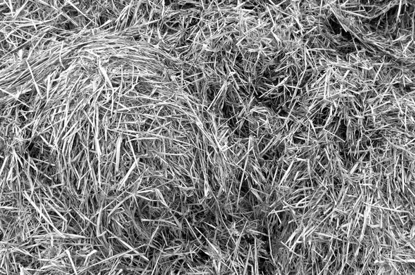黑色和白色的稻草堆. — 图库照片