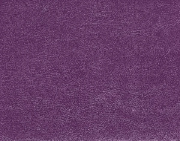 Donker paars leder texture. — Stockfoto