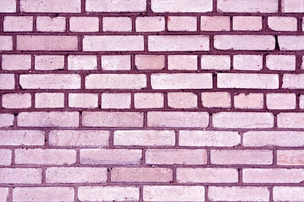 Fialová barva výstřední cihlová zeď vzor. — Stock fotografie