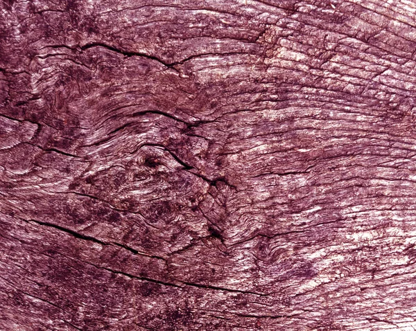 Textura de corte de árvore tonificada rosa velha . — Fotografia de Stock