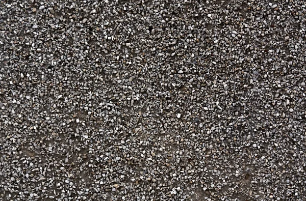 Color gris patrón de piedras pequeñas —  Fotos de Stock