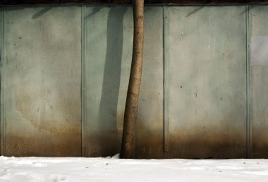 Ağacın önünde aşınmış metal wal ve kar