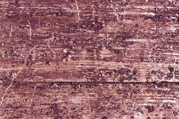 Powierzchni nieczysty drewniane borad z mchem. — Zdjęcie stockowe