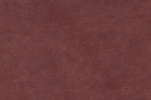 Textura de couro de cor marrom . — Fotografia de Stock