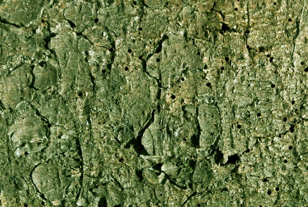 Groen getinte pine tree schors patroon. — Stockfoto
