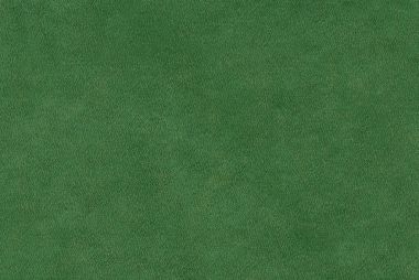 yeşil renk deri doku.