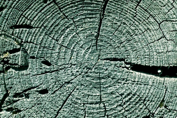 シアン トーンの古い木のテクスチャをカット. — ストック写真
