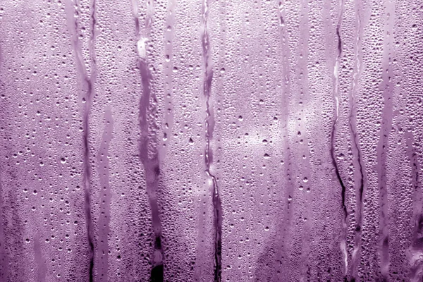 Фиолетовые капли конденсата в теплице pvc — стоковое фото