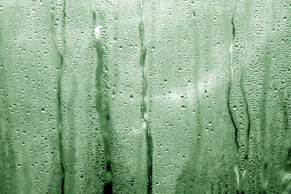 Зеленые капли конденсата в теплице ПВХ — стоковое фото