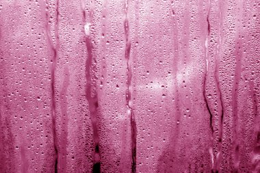 pembe tonda yoğunlaşma pvc sera üzerinde damla