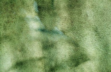 Yeşil renk leasther yüzey yıpranmış. 