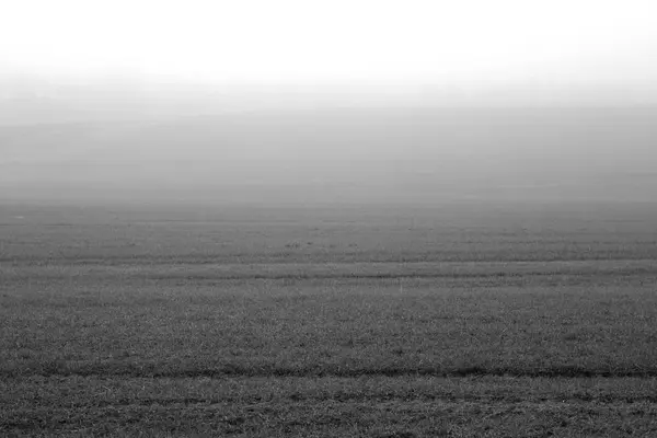 Schwarz-weißes Landwirtschaftsfeld im Nebel. — Stockfoto