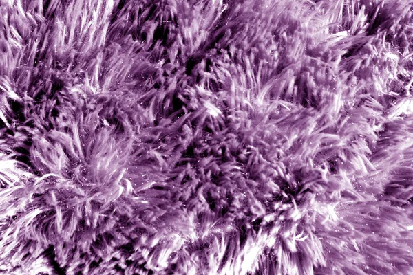 Soft fur textile in purple color.