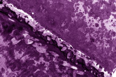 Mor tonda paslı metal kaynak.