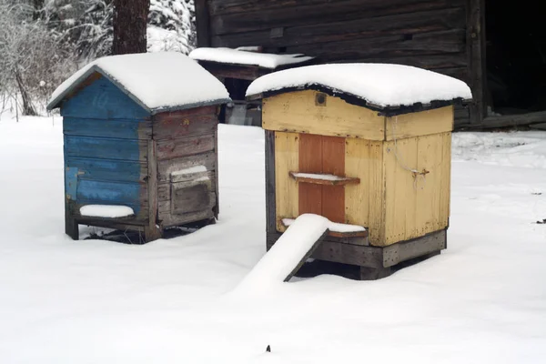 Vecchi alveari in inverno . — Foto Stock