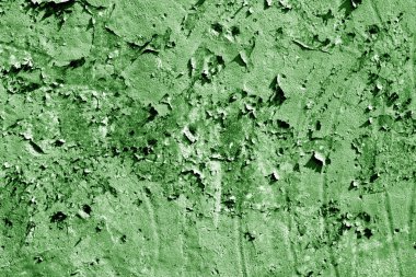 Yeşil tonda grungy çimento duvar.