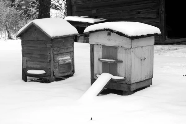 Alte Bienenstöcke im Winter in schwarz-weiß. — Stockfoto